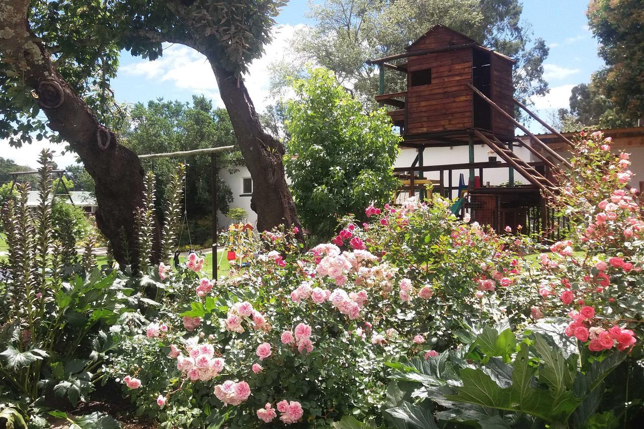 Van Reenen Green Lantern Inn מראה חיצוני תמונה